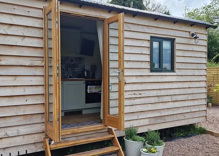 Cosy Owl - Shepherds Hut