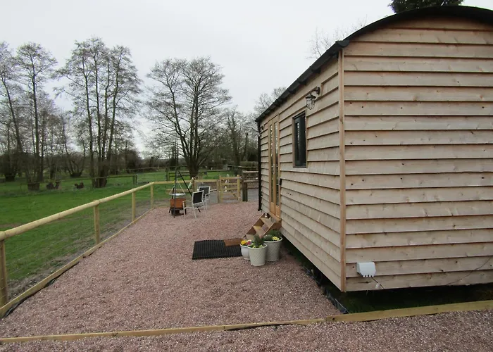 Cosy Owl - Shepherds Hut