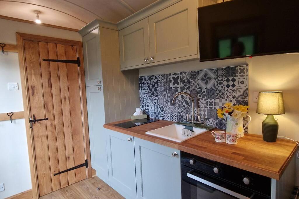 Cosy Owl - Shepherds Hut