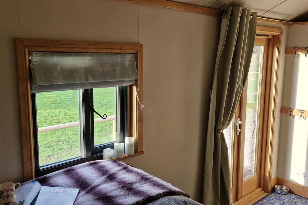 Cosy Owl - Shepherds Hut
