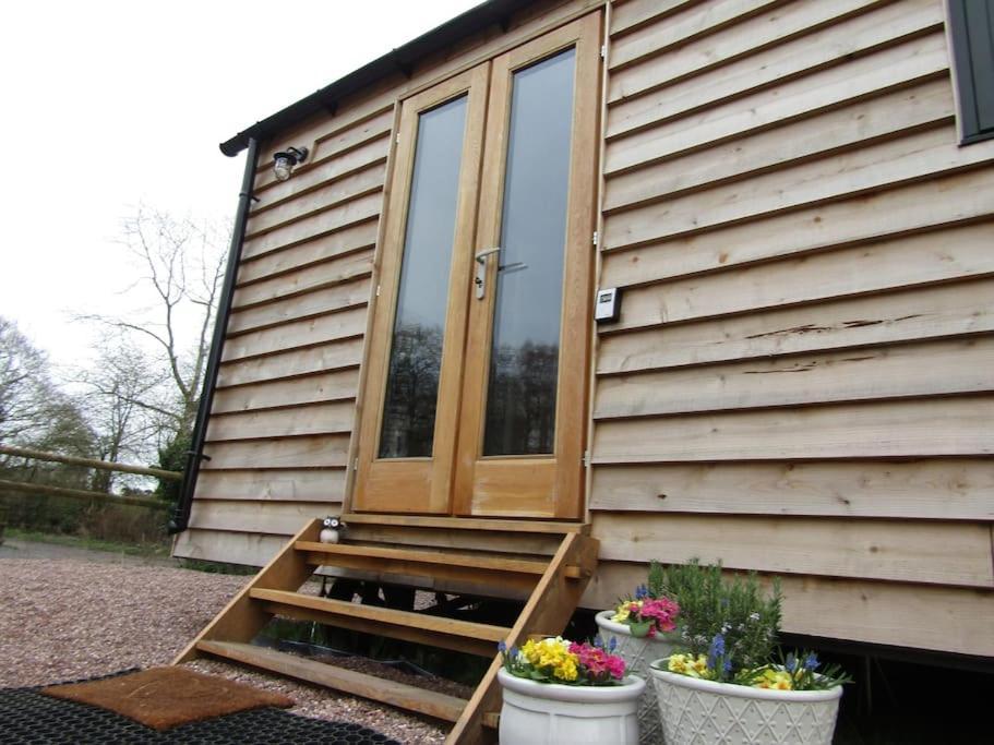 Cosy Owl - Shepherds Hut